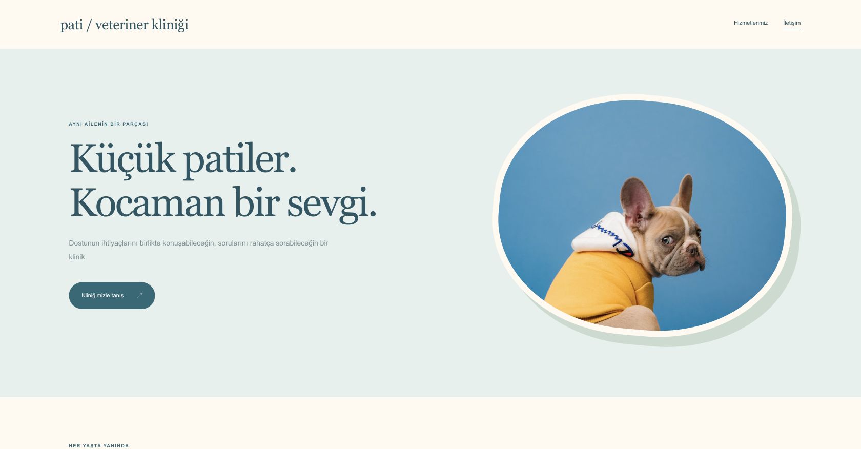 Pati sayfa tasarımı